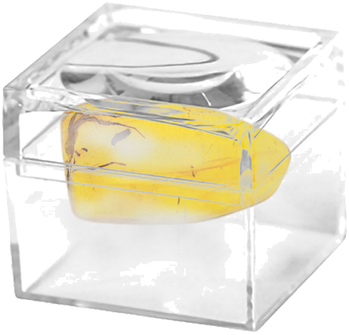 1,80 гр. Самороден кехлибар с фосил (2)