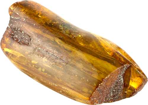 18,25 g Amber nugget with fly inclusions (4)