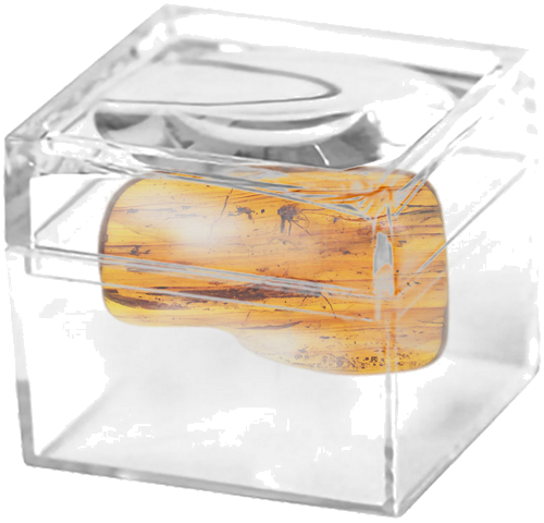 2,00 g Amber Nugget with inclusion (2)