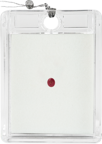 0,23 ct. Ruby Oval F.H (1)