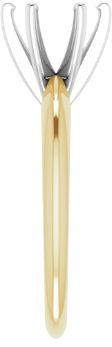 Sužadėtuvių Žiedas „Solitaire“ 585 Baltojo Ir Geltonojo Aukso Round 7.3mm x 7.7mm (4)