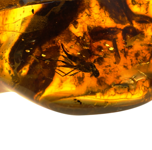 Самородок янтаря с инклюзом 27,40 г (2)