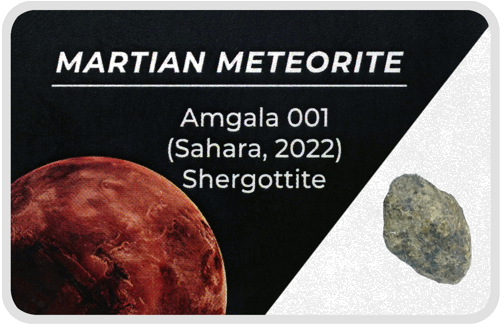 Martian Meteorite (1)