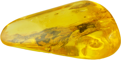 Самородок янтаря с инклюзом 16,30 г (3)