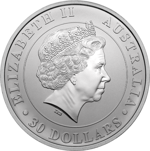 1 kg Koala 2013 Australia Silver Coin (2)