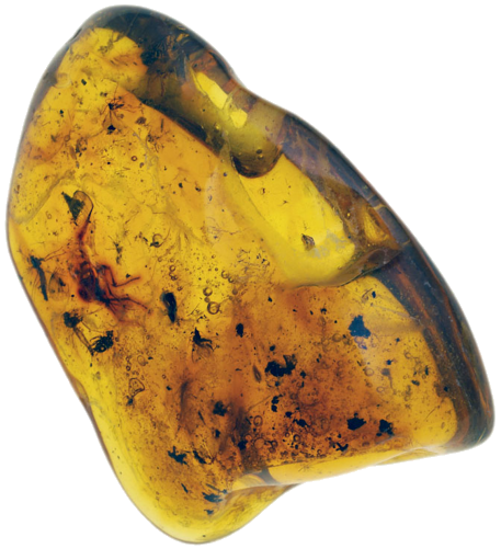 5,15 g Amber Nugget with inclusion (1)