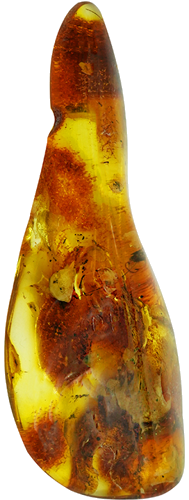 20,70 гр. Самороден кехлибар с фосил (4)