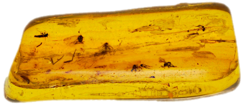 2,15 g Amber Nugget with inclusions (1)