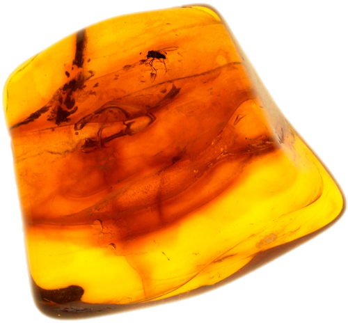 3,00 g Amber Nugget with inclusion (1)
