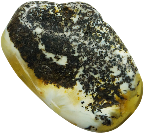 8,55 g Gintaro grynuolis (1)