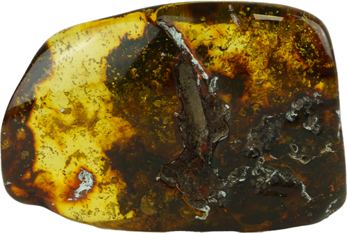 29,10 g Amber nugget (1)