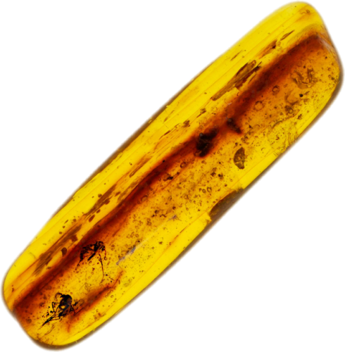 2,00 g Amber Nugget with inclusions (1)