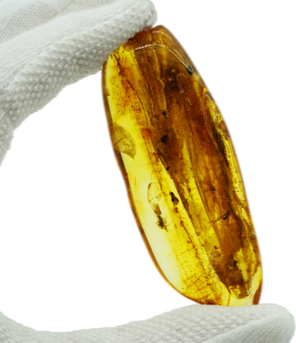 14,80 g Amber Nugget with inclusion (1)