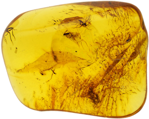 3,25 g Amber Nugget with inclusion (1)