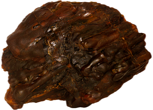 834 g Amber Nugget (2)