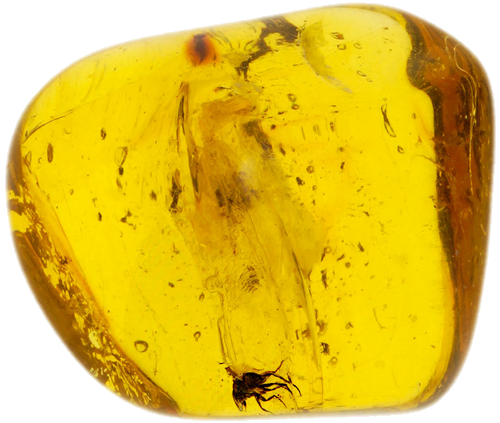 4,05 g Amber Nugget with inclusion (1)