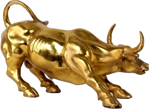 Wall Street Bull (3)