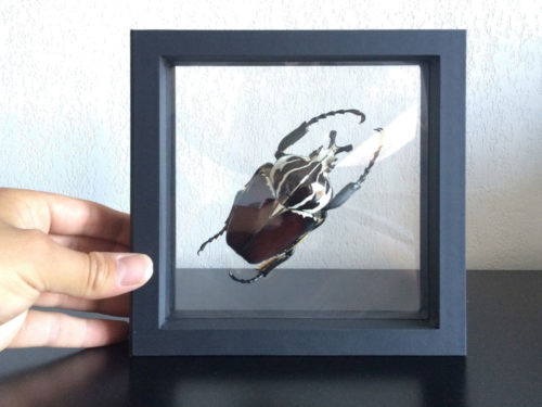 Рамка Magic Frame (3)