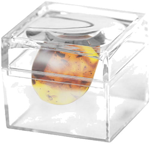 2,30 g Amber Nugget with inclusion (2)