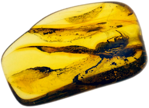 1,50 g Gintaro grynuolis su inkliuzu (1)