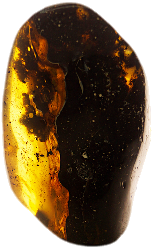 170 g Amber Nugget (1)