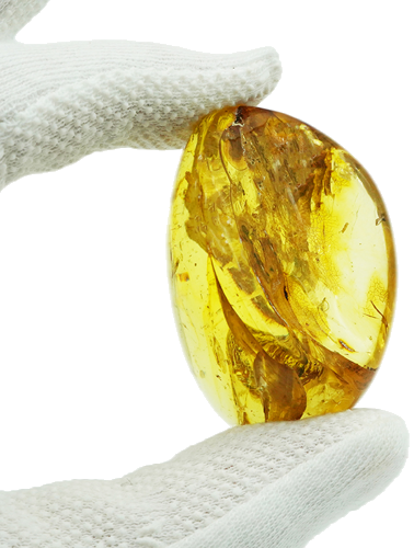24,50 g Amber Nugget with inclusion (1)