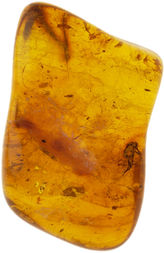 5,00 g Amber Nugget with inclusion (1)