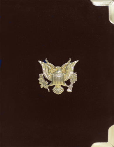 1984 JAV Olimpinės žaidynės 10 dolerių auksinė Proof  moneta (7)