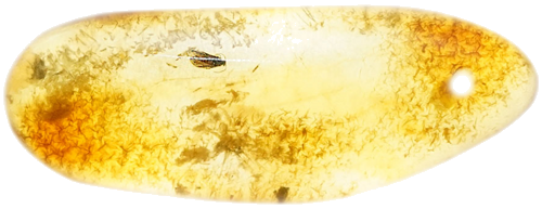 2,40 g Amber Nugget with inclusion (1)