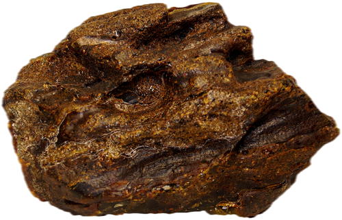 450 g Gintaro grynuolis (1)