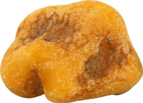 Морской янтарь 10,15 г (3)