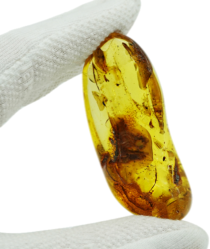 20,25 g Amber Nugget with ant inclusion (1)