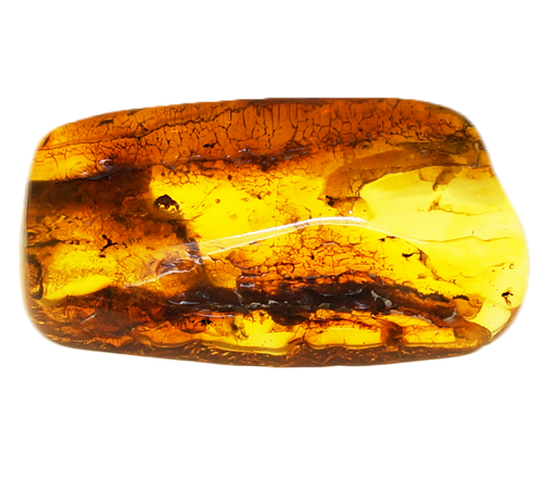 19 g Gintaro grynuolis su 7 inkliuzais (1)