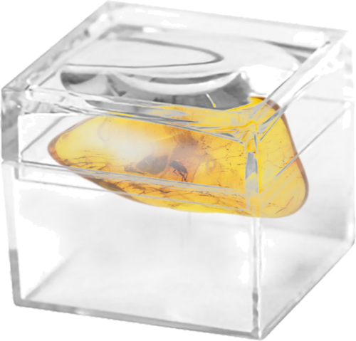 1,25 g Amber Nugget with inclusion (2)