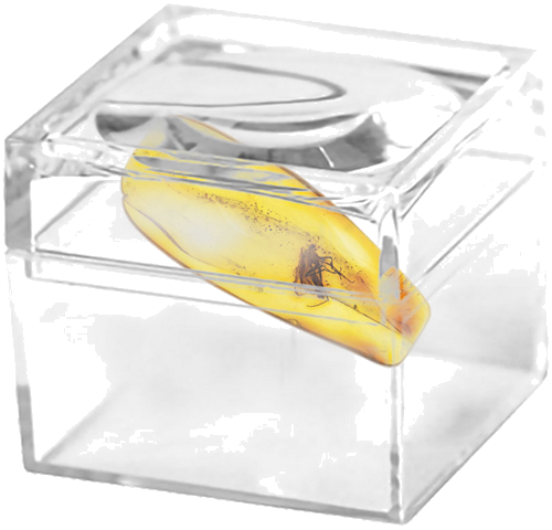 0,80 g Amber Nugget with inclusion (2)