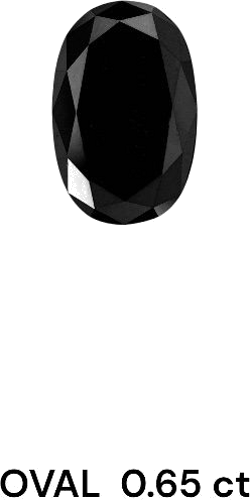 0.65 carat Fancy Black-VVS2 Natūralus Oval Deimantas (1)