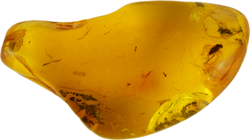 24,80 g Amber nugget with fly inclusion (4)