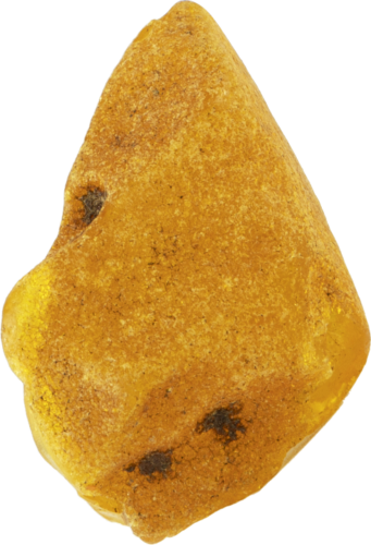 4.90 g Jūrinio Gintaro grynuolis (1)