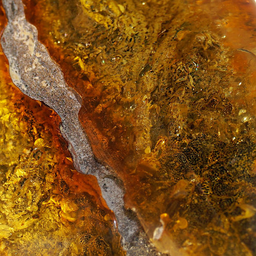 19,85 g Amber nugget with tree bark inclusion (4)