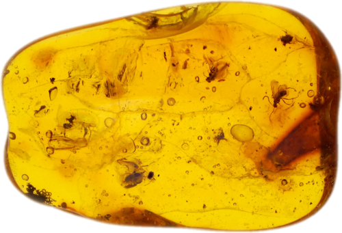 2,40 g Amber Nugget with 6 inclusions (1)