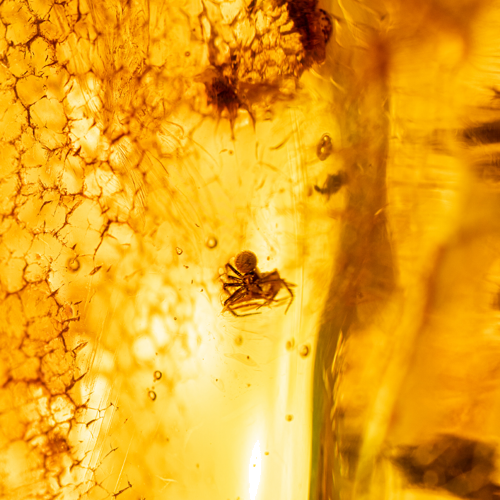 22 g Amber Nugget with fly inclusion (2)