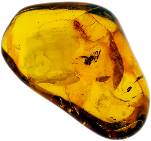 2,70 g Amber Nugget with inclusion (1)