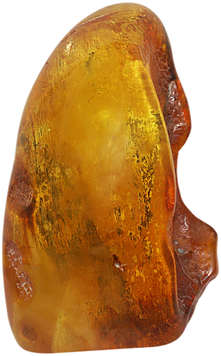 65,90 g Amber nugget with tree bark inclusion (1)