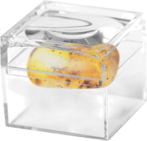 0,85 g Amber Nugget with inclusions (2)