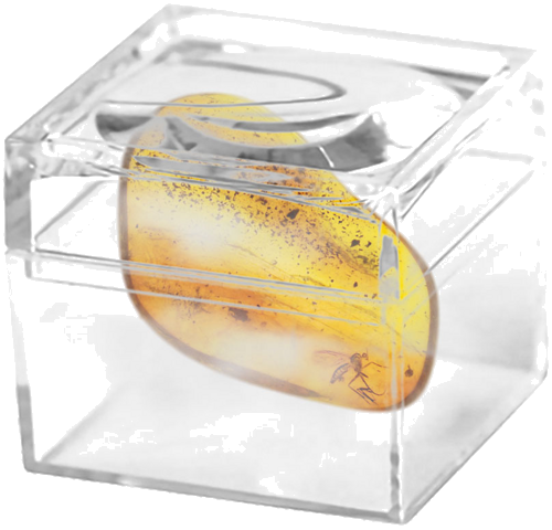 1,55 g Amber Nugget with inclusion (2)