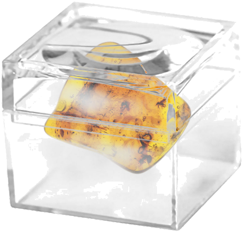 4,50 g Amber Nugget with inclusion (2)