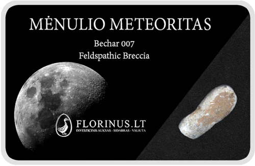 Mėnulio meteoritas (1)