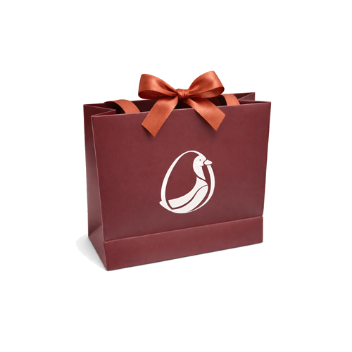 Gift Bag with Satin Handles (1)