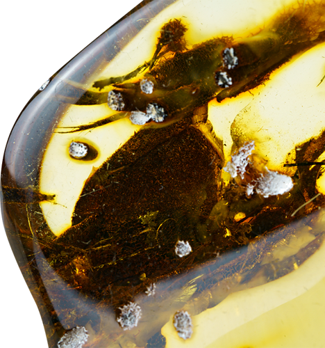 21,55 g Amber nugget (4)