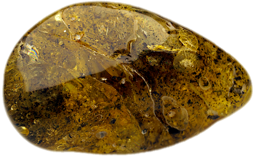 17 g Amber Nugget (2)